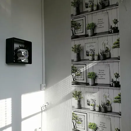 L'entre 2 Cotes Appartement Le Tréport