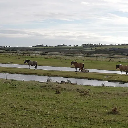 L'entre 2 Cotes Appartement *