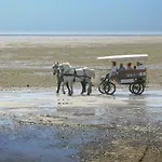 L'entre 2 Cotes Le Tréport