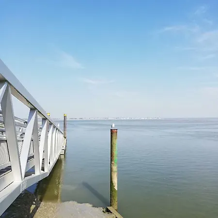 Apartment L'entre 2 Cotes Le Treport