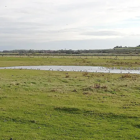 L'entre 2 Cotes Le Tréport